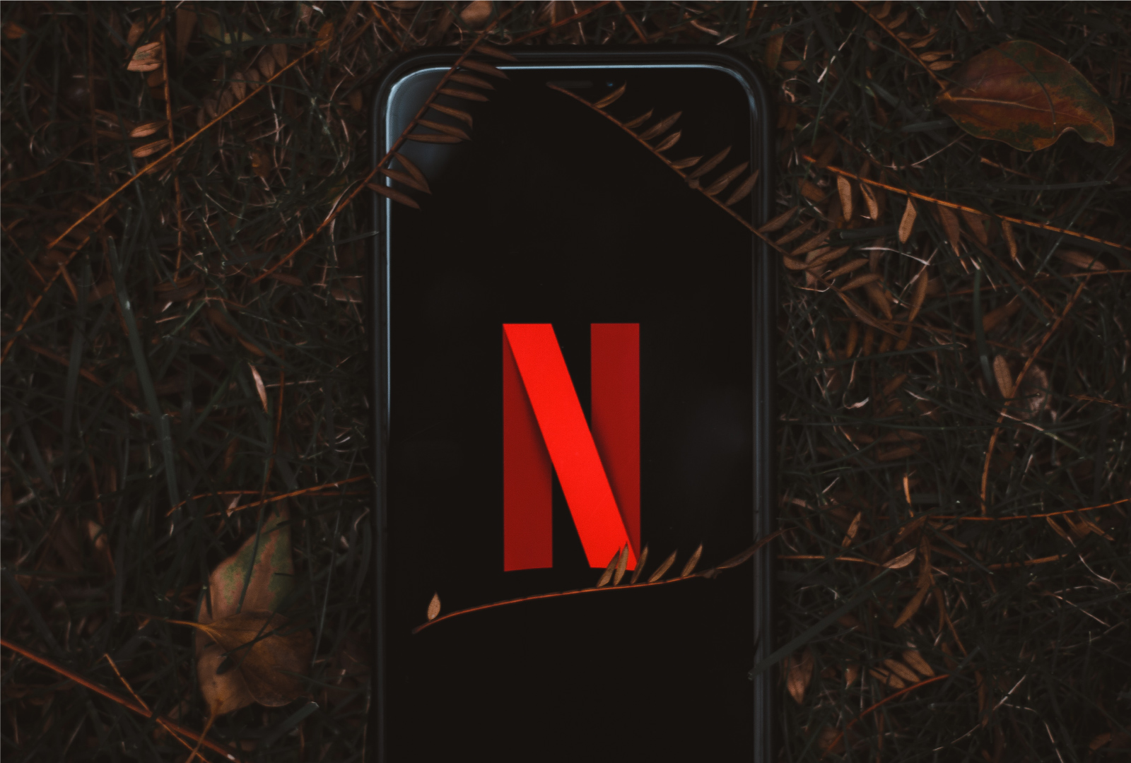 Netflix'in Dibini Sıyırmaya Hazır Mısınız?